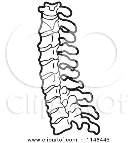 Clipart of a Black and White Spine - Royalty Free Vector Illustration by Lal Perera