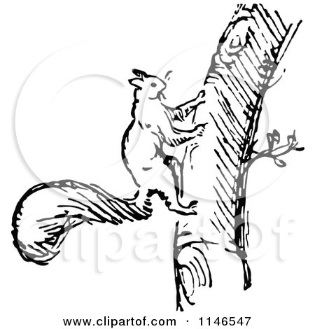 Clipart of a Retro Vintage Black and White Squirrel Climbing a Tree - Royalty Free Vector Illustration by Prawny Vintage