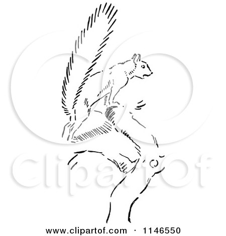 Clipart of a Retro Vintage Black and White Scared Squirrel - Royalty Free Vector Illustration by Prawny Vintage