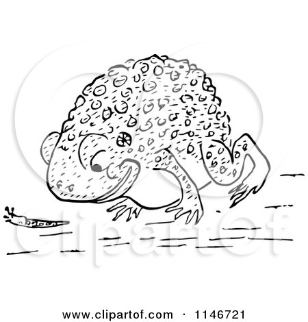 toad clipart black and white