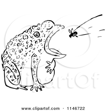Clipart of a Retro Vintage Black and White Toad Eating a Fly - Royalty Free Vector Illustration by Prawny Vintage