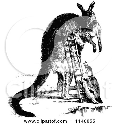 Clipart of a Retro Vintage Black and White Duck Climing a Kangaroo Ladder - Royalty Free Vector Illustration by Prawny Vintage