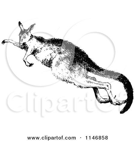Clipart of a Retro Vintage Black and White Kangaroo Jumping - Royalty Free Vector Illustration by Prawny Vintage