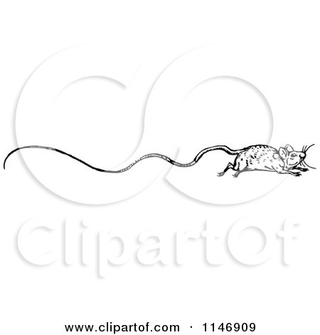 Clipart of a Retro Vintage Black and White Border of a Long Tailed Rat - Royalty Free Vector Illustration by Prawny Vintage