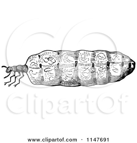 Clipart of a Retro Vintage Black and White Termite Queen ...