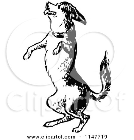 Clipart of a Retro Vintage Black and White Jumping Dog - Royalty Free Vector Illustration by Prawny Vintage