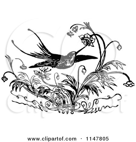 Clipart of a Retro Vintage Black and White Hummingbird and Flowers - Royalty Free Vector Illustration by Prawny Vintage