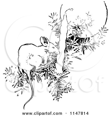Clipart of a Retro Vintage Black and White Mouse on a Christmas Tree Branch - Royalty Free Vector Illustration by Prawny Vintage