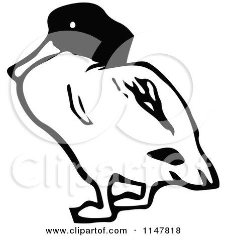Clipart of a Black and White Duck - Royalty Free Vector Illustration by Prawny Vintage
