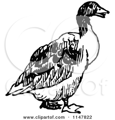 Clipart of a Retro Vintage Black and White Duck - Royalty Free Vector Illustration by Prawny Vintage