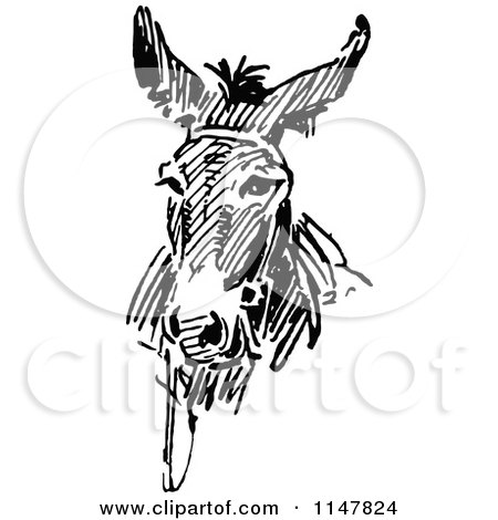 Clipart of a Retro Vintage Black and White Donkey Face - Royalty Free Vector Illustration by Prawny Vintage