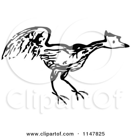 Clipart of a Black and White Chicken - Royalty Free Vector Illustration by Prawny Vintage