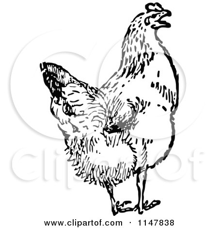Clipart of a Retro Vintage Black and White Chicken - Royalty Free Vector Illustration by Prawny Vintage