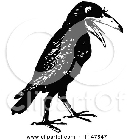 Clipart of a Retro Vintage Black and White Crow - Royalty Free Vector Illustration by Prawny Vintage