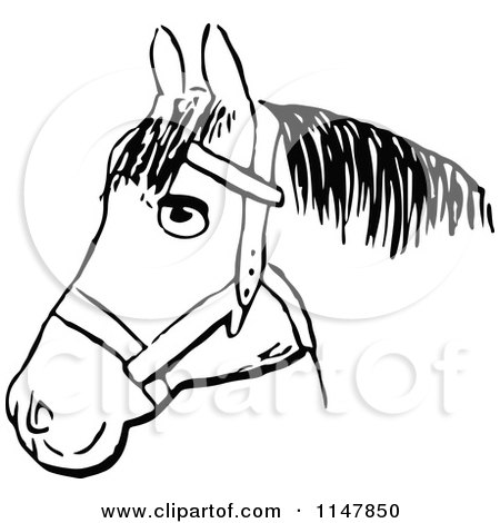 Clipart of a Retro Vintage Black and White Horse Head 2 - Royalty Free Vector Illustration by Prawny Vintage