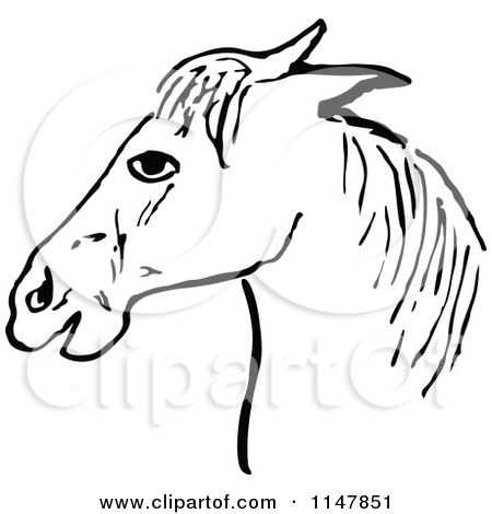 Clipart of a Retro Vintage Black and White Horse Head - Royalty Free Vector Illustration by Prawny Vintage