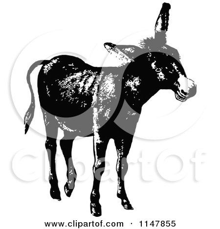 Clipart of a Retro Vintage Black and White Donkey 2 - Royalty Free Vector Illustration by Prawny Vintage