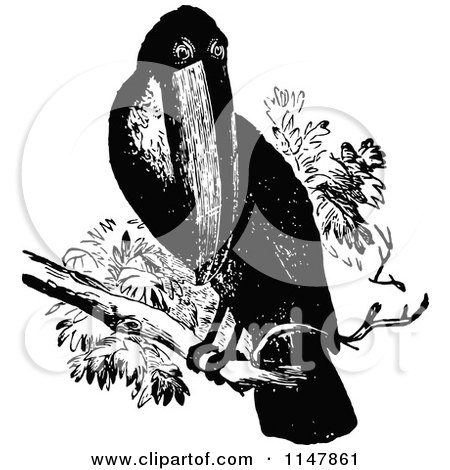 Clipart of a Retro Vintage Black and White Toucan - Royalty Free Vector Illustration by Prawny Vintage