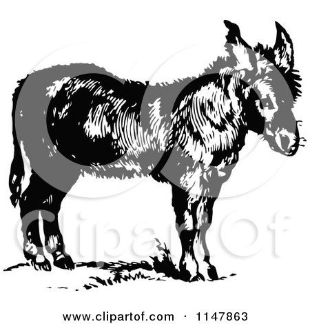 Clipart of a Retro Vintage Black and White Donkey - Royalty Free Vector Illustration by Prawny Vintage