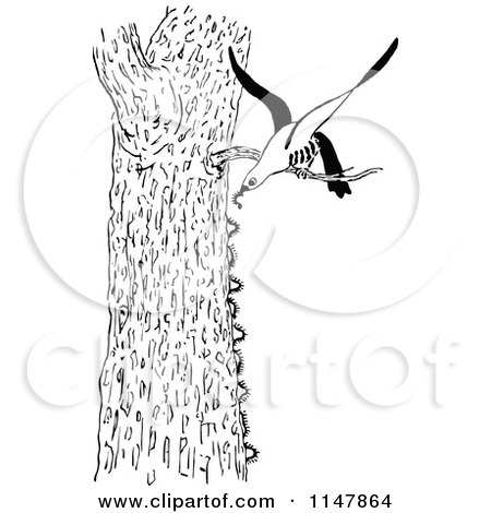 Clipart of a Retro Vintage Black and White Bird Eating Caterpillars off of a Tree - Royalty Free Vector Illustration by Prawny Vintage