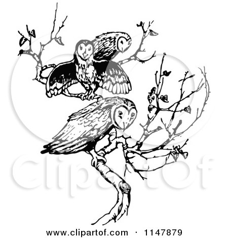 Clipart of a Retro Vintage Black and White Trio of Owls on a Branch - Royalty Free Vector Illustration by Prawny Vintage