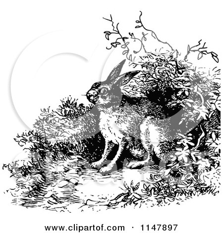 Clipart of a Retro Vintage Black and White Wild Rabbit - Royalty Free Vector Illustration by Prawny Vintage