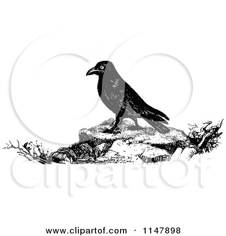 Clipart of a Retro Vintage Black and White Raven - Royalty Free Vector Illustration by Prawny Vintage
