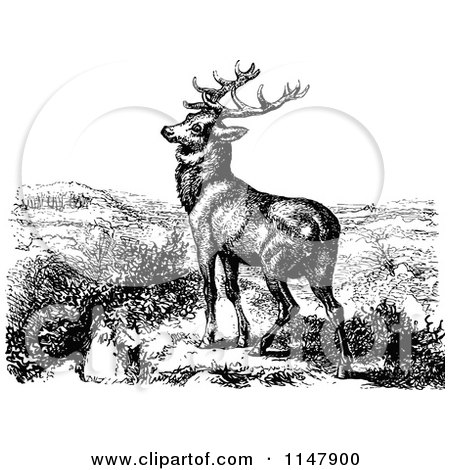 Clipart of a Retro Vintage Black and White Stag Deer - Royalty Free Vector Illustration by Prawny Vintage