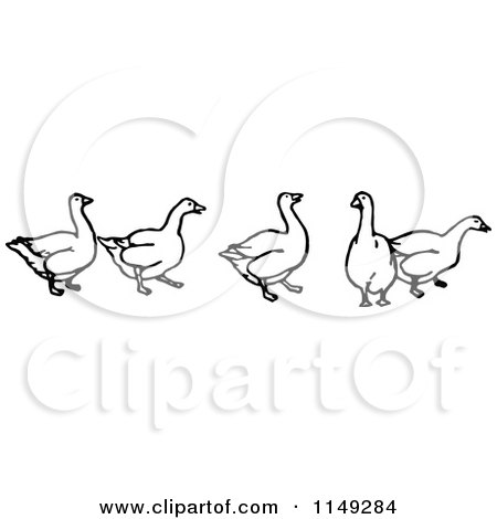 Clipart of a Retro Vintage Black and White Goose Border - Royalty Free Vector Illustration by Prawny Vintage