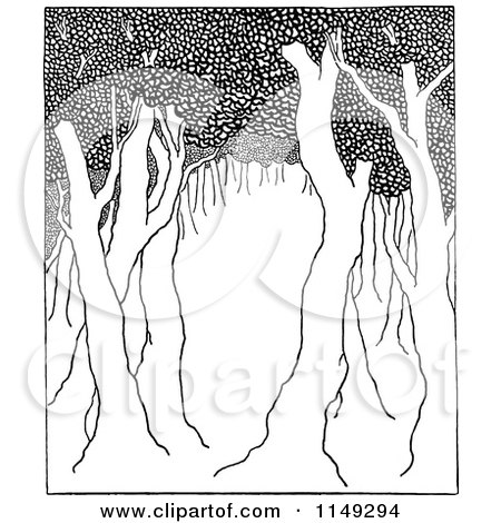 Clipart of Retro Vintage Black and White Trees in a Forest - Royalty Free Vector Illustration by Prawny Vintage