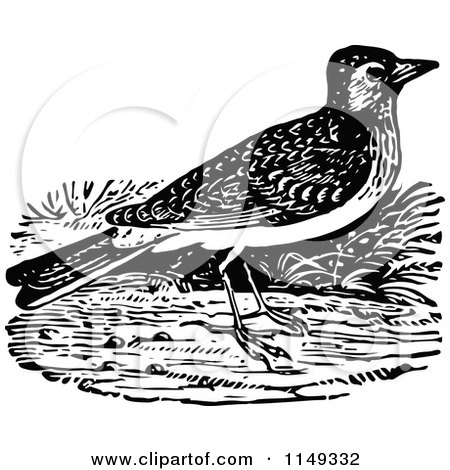 Clipart of a Retro Vintage Black and White Lark Bird - Royalty Free Vector Illustration by Prawny Vintage