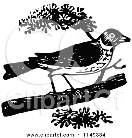 Clipart of a Retro Vintage Black and White Robin - Royalty Free Vector Illustration by Prawny Vintage