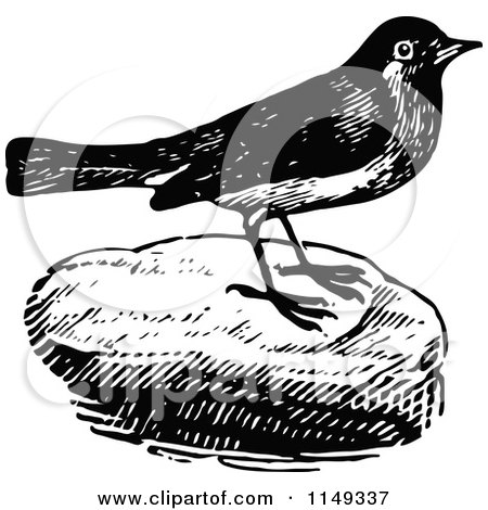 Clipart of a Retro Vintage Black and White Bird on a Rock - Royalty Free Vector Illustration by Prawny Vintage