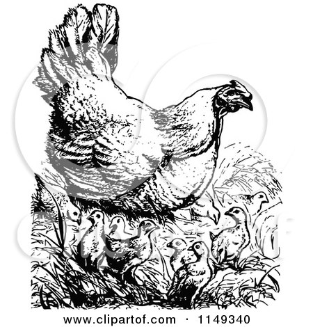 Clipart of a Retro Vintage Black and White Chicken with Chicks - Royalty Free Vector Illustration by Prawny Vintage