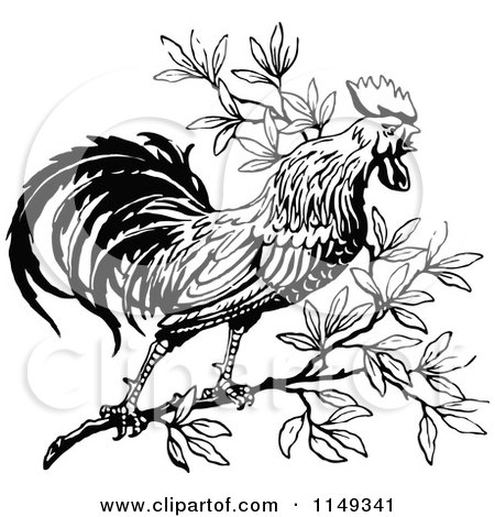 Clipart of a Retro Vintage Black and White Crowing Rooster in a Tree - Royalty Free Vector Illustration by Prawny Vintage