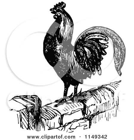 Clipart of a Retro Vintage Black and White Crowing Rooster on a Wall - Royalty Free Vector Illustration by Prawny Vintage