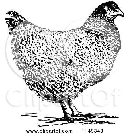 Clipart of a Retro Vintage Black and White Hen Chicken - Royalty Free Vector Illustration by Prawny Vintage