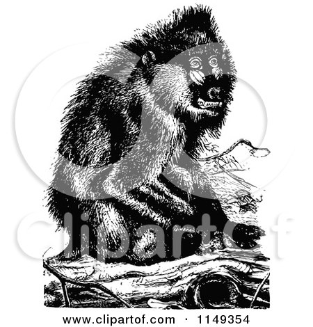 Clipart of a Retro Vintage Black and White Baboon Monkey Sitting on a Log - Royalty Free Vector Illustration by Prawny Vintage