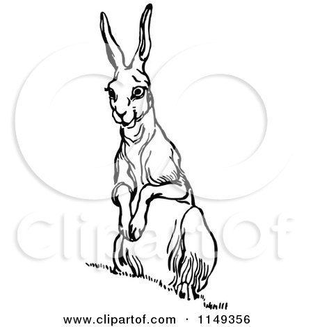 Clipart of a Retro Vintage Black and White Alert Rabbit - Royalty Free Vector Illustration by Prawny Vintage