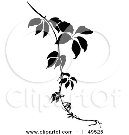 Clipart of a Retro Vintage Black and White Vine - Royalty Free Vector Illustration by Prawny Vintage