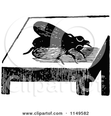 Clipart of a Retro Vintage Black and White Fly on a Table - Royalty Free Vector Illustration by Prawny Vintage