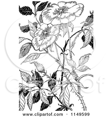 Clipart of Retro Vintage Black and White Flowers 1 - Royalty Free Vector Illustration by Prawny Vintage
