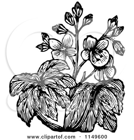 Clipart of Retro Vintage Black and White Flowers 2 - Royalty Free Vector Illustration by Prawny Vintage