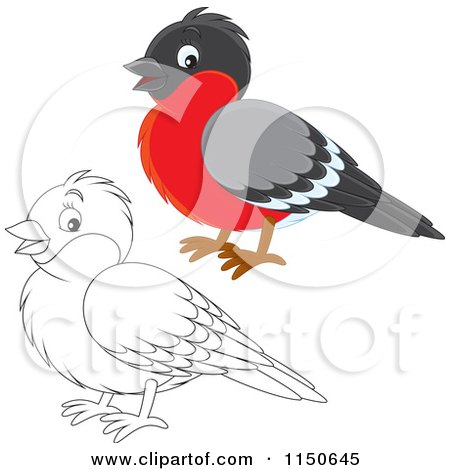 Cartoon of a Colored and Outlined Robin Bird - Royalty Free Vector Clipart by Alex Bannykh