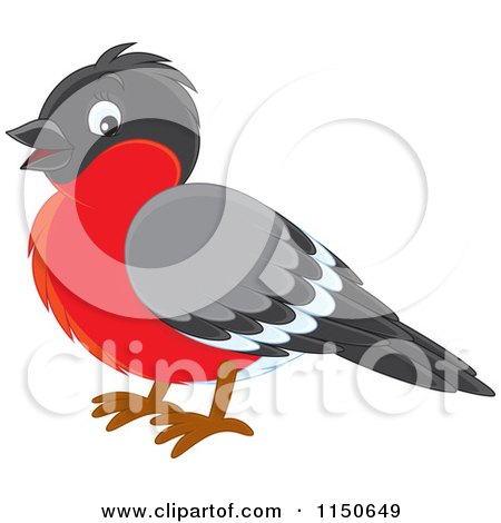 Cartoon of a Robin Bird - Royalty Free Vector Clipart by Alex Bannykh
