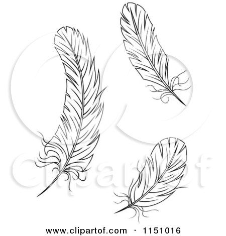 Clipart of Black and White Feathers 2 - Royalty Free Vector Clipart by Vector Tradition SM