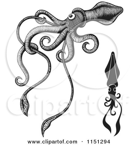 Cartoon of Black and White Giant Squids - Royalty Free Vector Clipart by Any Vector