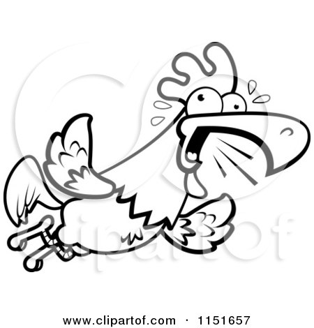 Cartoon Clipart Of A Black And White Rooster Flying and Squawking - Vector Outlined Coloring Page by Cory Thoman