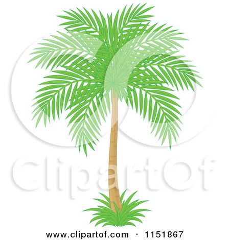 Clipart of a Palm Tree - Royalty Free Vector Illustration by Alex Bannykh