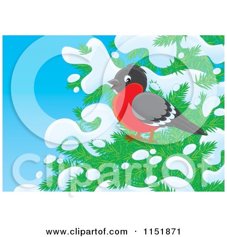 Cartoon of a Robin on a Snow Flocked Tree - Royalty Free Illustration by Alex Bannykh